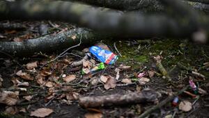 Baum umgestürzt - Drei Tote bei Flensburg