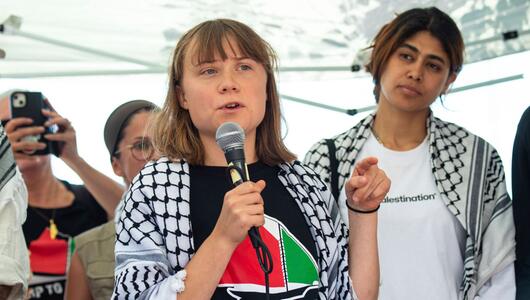 Freedom Flotilla Coalition