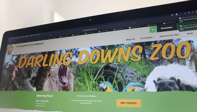 Löwe beißt Frau in Australien Arm ab