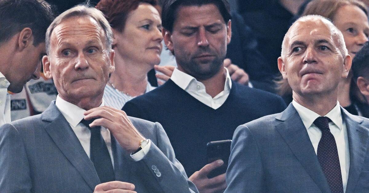 Neuendorf nomina il profilo dell’allenatore della nazionale – nessun contatto con Nagelsmann