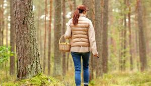 Wer Pilze im Wald sammeln will, sollte einiges beachten.