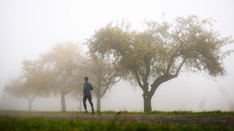 Nebel in Hessen