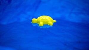 Swimmingpool