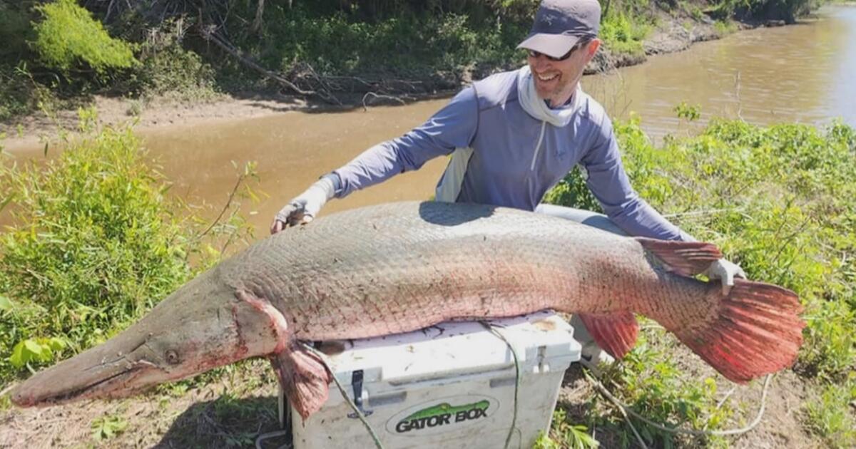Angler fängt 2,5 Meter langen Alligatorhecht und stellt Weltrekord auf