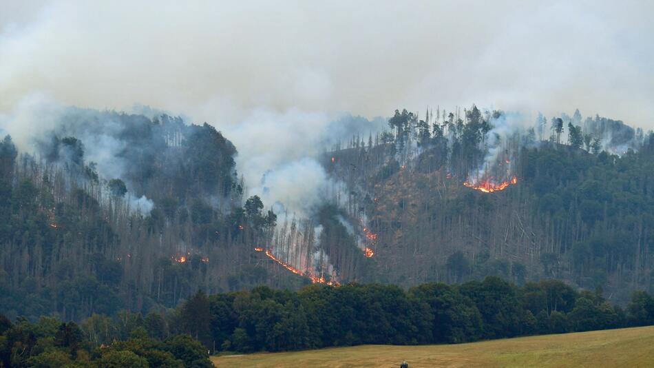 Nach Waldbrand in Sächsischer Schweiz - Festnahme