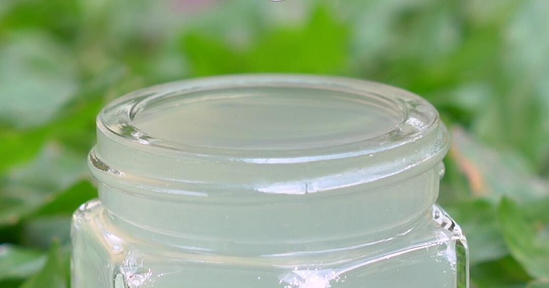 Ist Aloe-Vera-Saft wirklich gesund? - Video | WEB.DE
