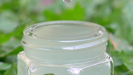 Ist Aloe-Vera-Saft wirklich gesund? - Video | WEB.DE