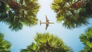 Flugzeug