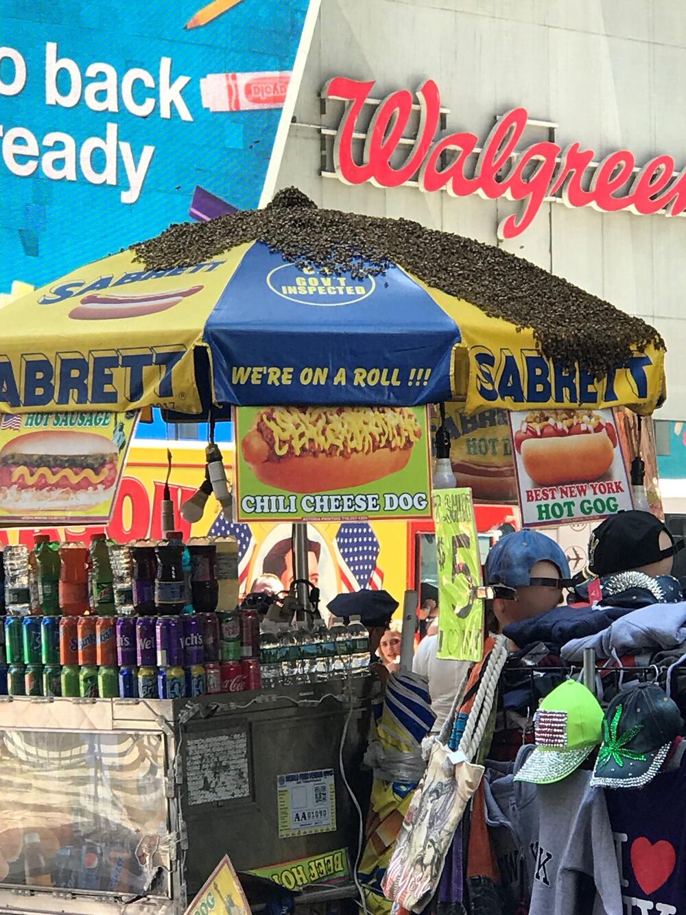 Bienen belagern Hotdog-Stand in New York