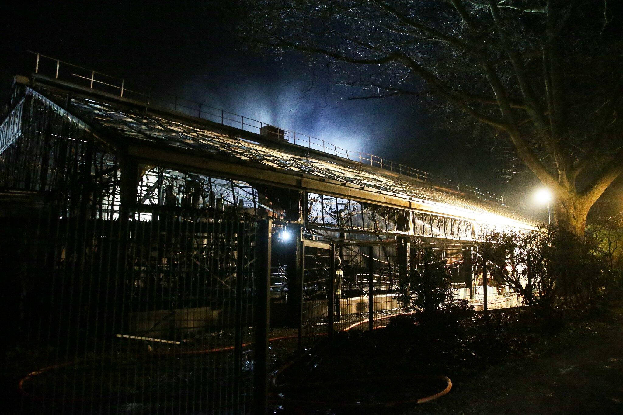 Brand In Krefelder Zoo - Alle Tiere Im Affenhaus Tot | WEB.DE