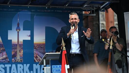 Kundgebung der AfD vor dem Roten Rathaus