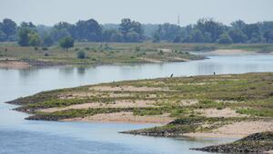 Niedrigwasser in der Elbe