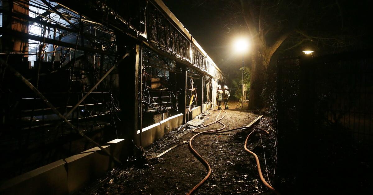 Brand In Krefelder Zoo - Alle Tiere Im Affenhaus Tot | WEB.DE