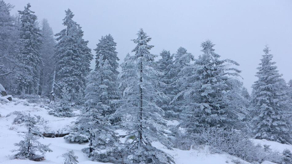 Eis und Schnee auf dem Brocken