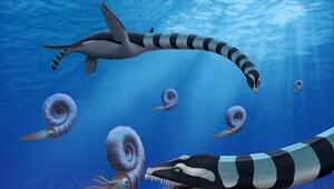 Traskasaura sandrae