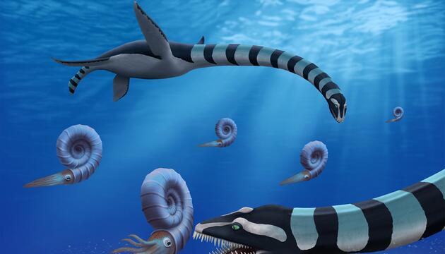 Traskasaura sandrae