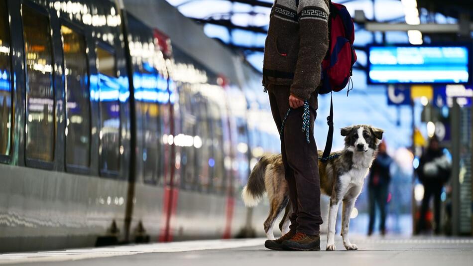 Regionalbahn im Hauptbahnhof Erfurt