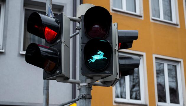 Ampel, Hase, Nürnberg