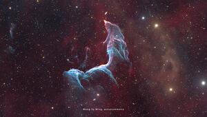 Meerjungfrauen-Nebula