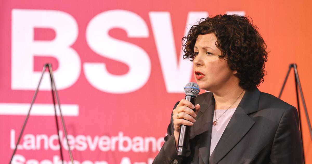 bsw-f-r-afd-einbindung-nach-landtagswahl-in-sachsen-anhalt-web-de