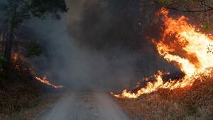 Waldbrand im Hürtgenwald
