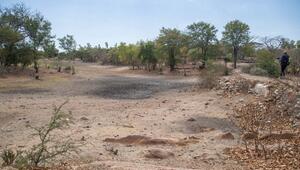 El Niño kündigt sich an – Experten warnen vor Extremwetter