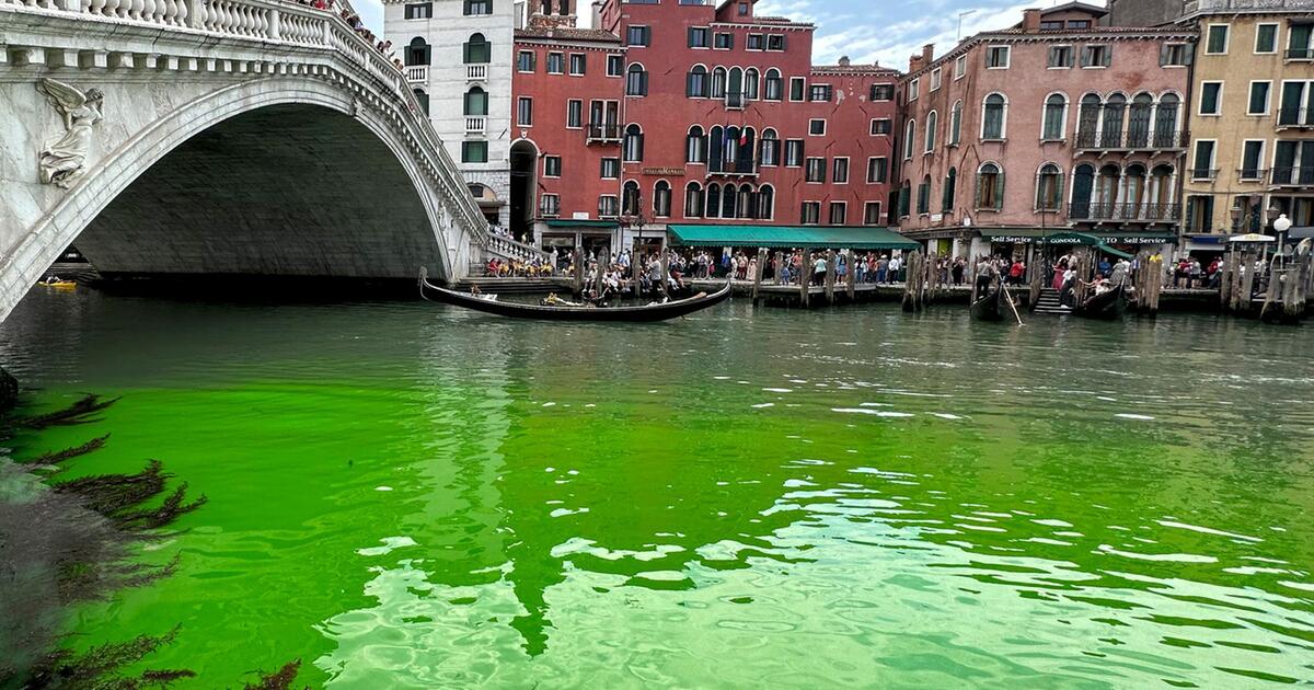 Alasan mengapa Kanal Grande begitu hijau di Venesia telah dijelaskan