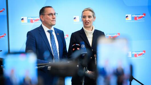 AfD-Chefs Tino Chrupalla und Alice Weidel
