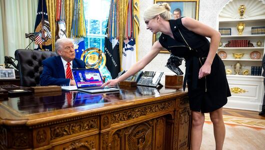 Trump, Harp