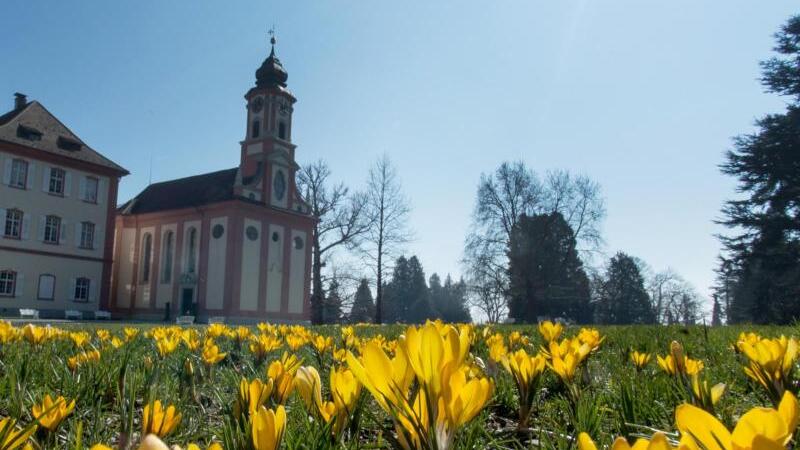 Barock und Frühlingsblüher auf der Mainau