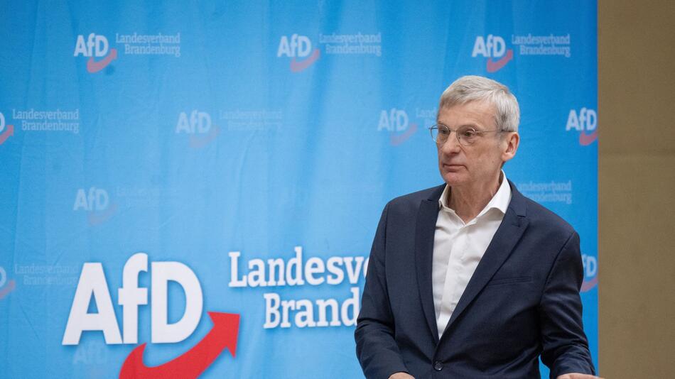 Landesparteitag AfD Brandenburg