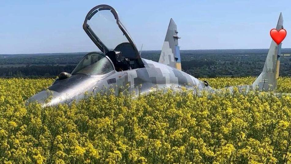 KORREKTUR! Kurioses Foto: Ukrainische MiG-29 in Rapsfeld notgelandet