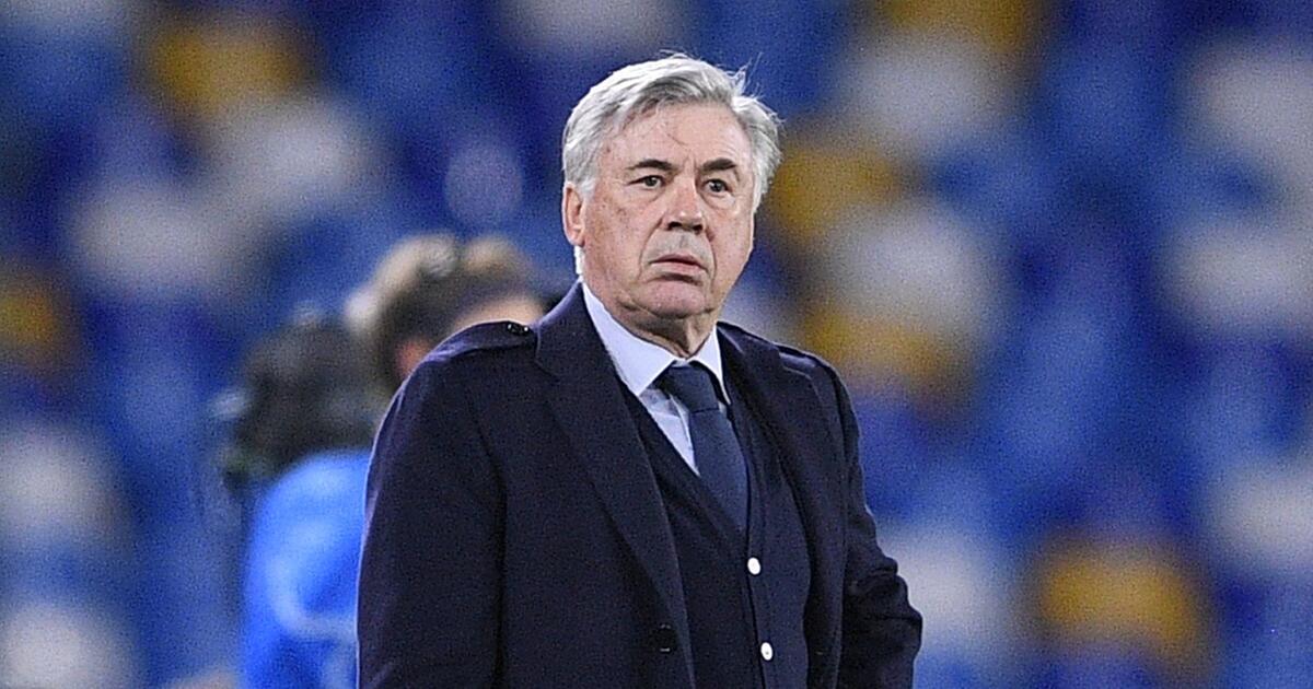 Trainer Neapel Trainer Neapel