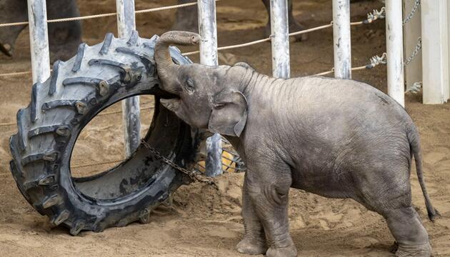 Tierpark Hellabrunn