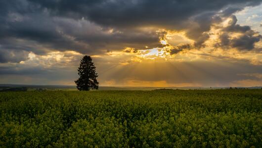 Feld in Deutschland mit Unwetter