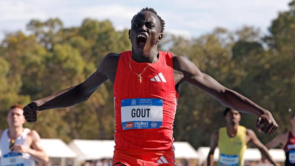 Gout Gout
