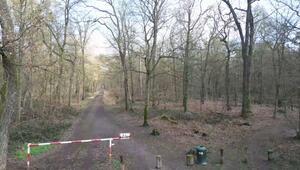 Leiche gefunden - Jugendlicher in Mannheim festgenommen