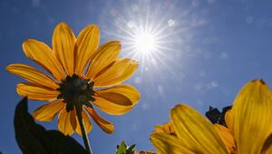 Sonnenschein in Berlin