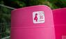 Knallpinkes Frauenpissoir mit „Squat & pee – Lapee“-Sticker bei Rock im Park 2025