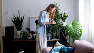 Pflanzen Wohnung Frau