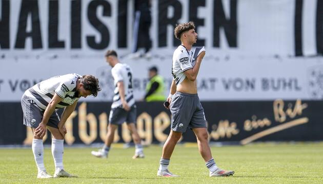 SV Sandhausen Abstieg