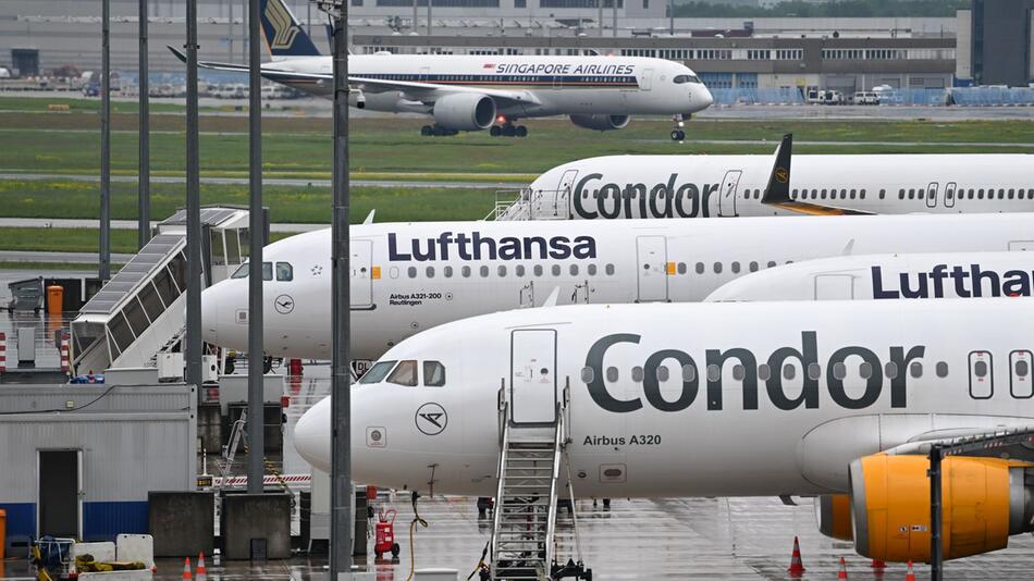 Ferienflieger Condor