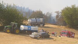 Waldbrand in Rheinland-Pfalz