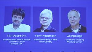 Medizin-Nobelpreis geht an zwei Deutsche und einen US-Wissenschaftler