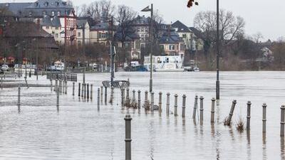 Hochwasser, das der Main führt