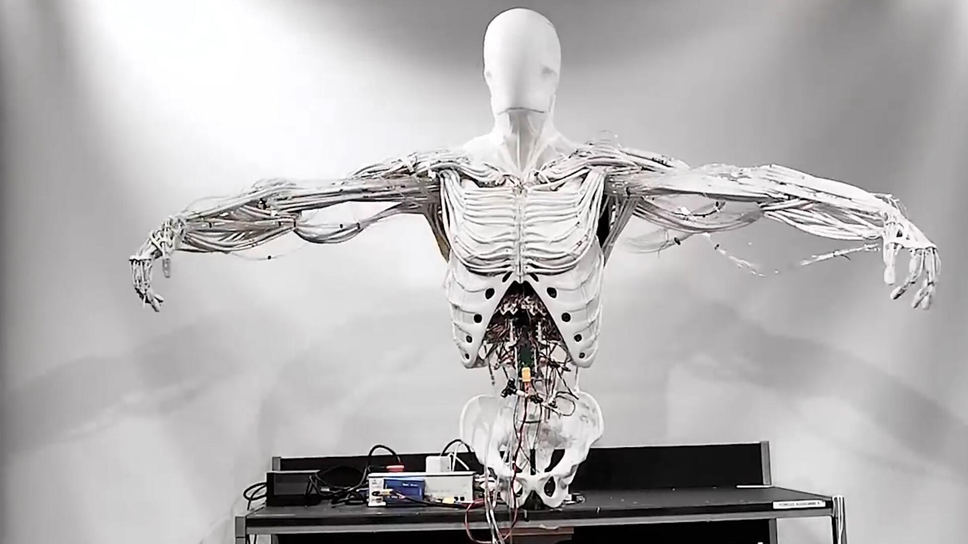 "Skelett-Roboter" ist faszinierend und unheimlich zugleich