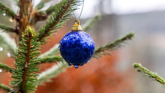 Christbaumkugel an einem Baum, regenerisches Wetter
