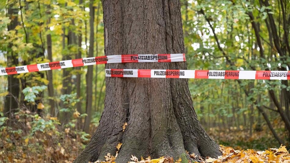 Großeinsatz Polizei Dresden