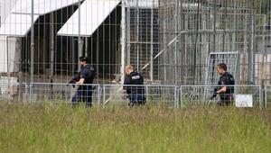 Polizei erschießt entlaufenen Tiger bei Leipzig