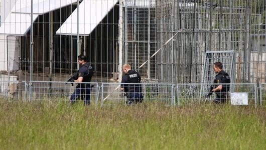 Polizei erschießt entlaufenen Tiger bei Leipzig